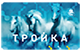 Пополнение карты ТРОЙКА; ?>